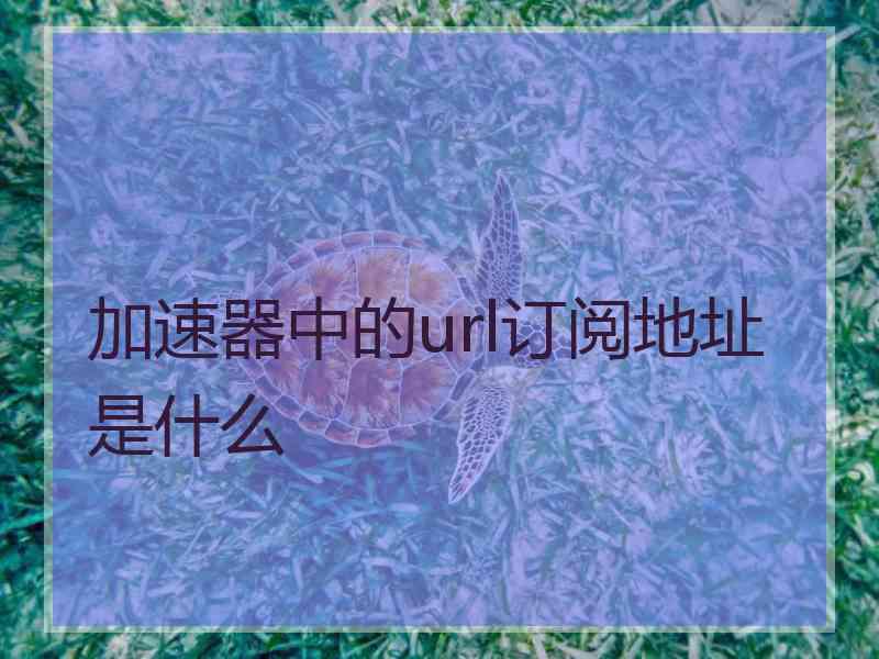 加速器中的url订阅地址是什么