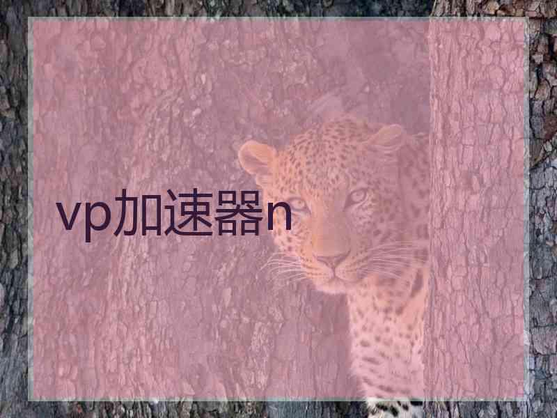 vp加速器n