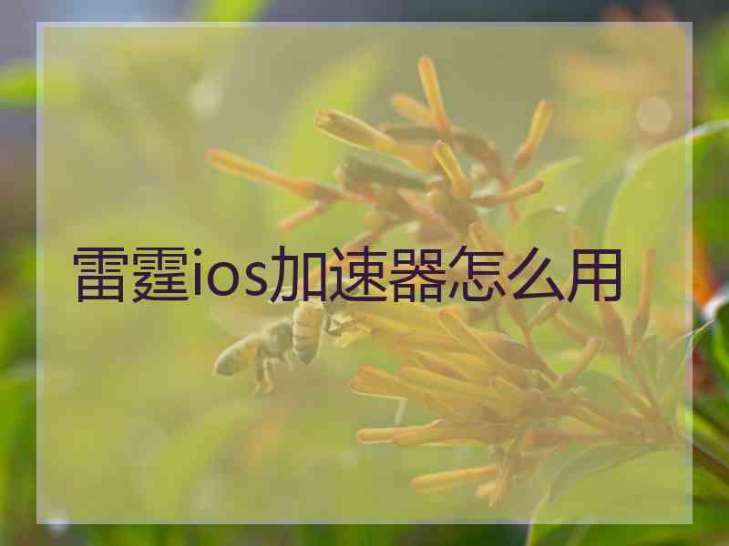 雷霆ios加速器怎么用