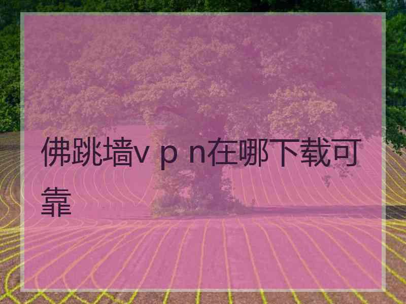 佛跳墙v p n在哪下载可靠