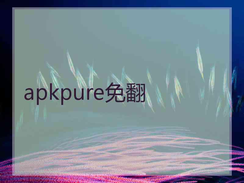 apkpure免翻