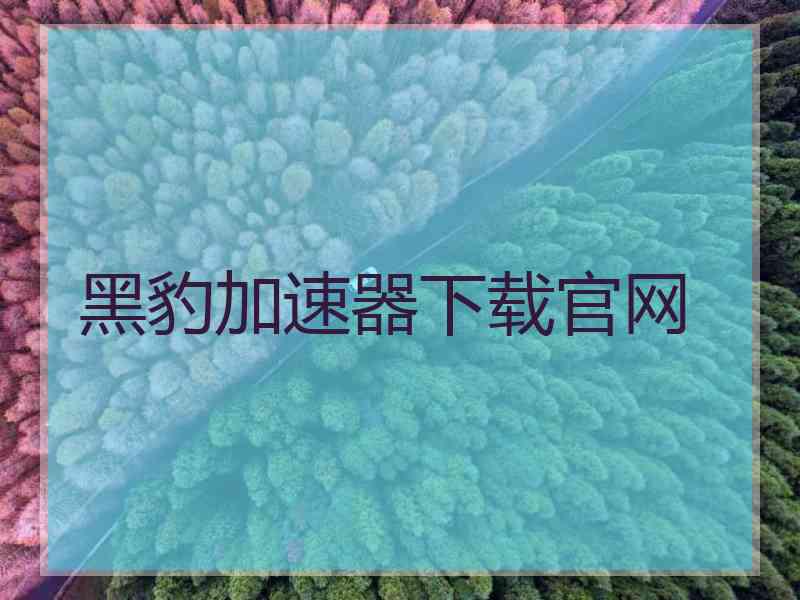 黑豹加速器下载官网