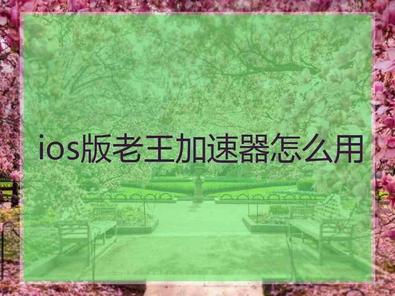 ios版老王加速器怎么用