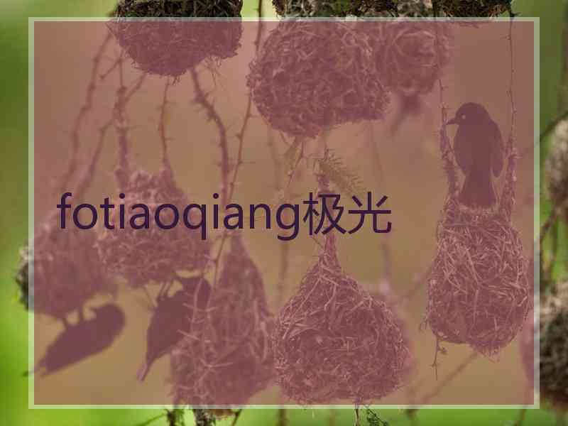 fotiaoqiang极光