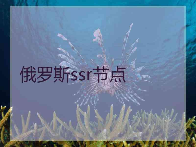 俄罗斯ssr节点