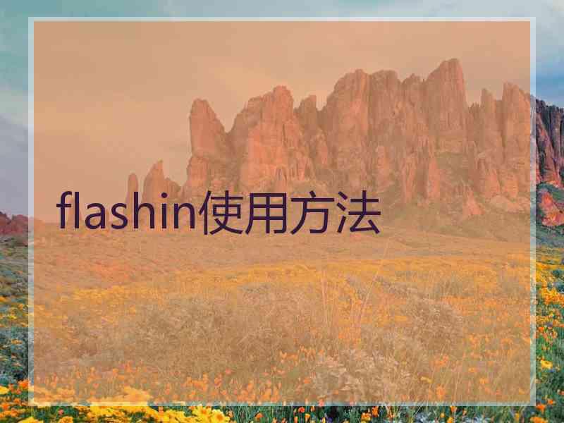 flashin使用方法