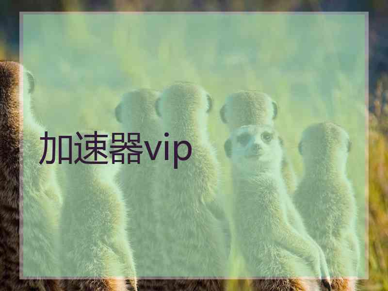 加速器vip