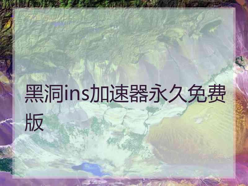 黑洞ins加速器永久免费版