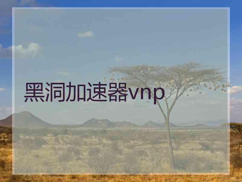 黑洞加速器vnp