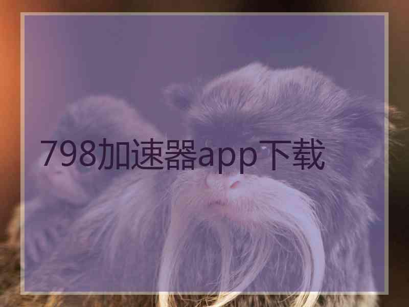 798加速器app下载