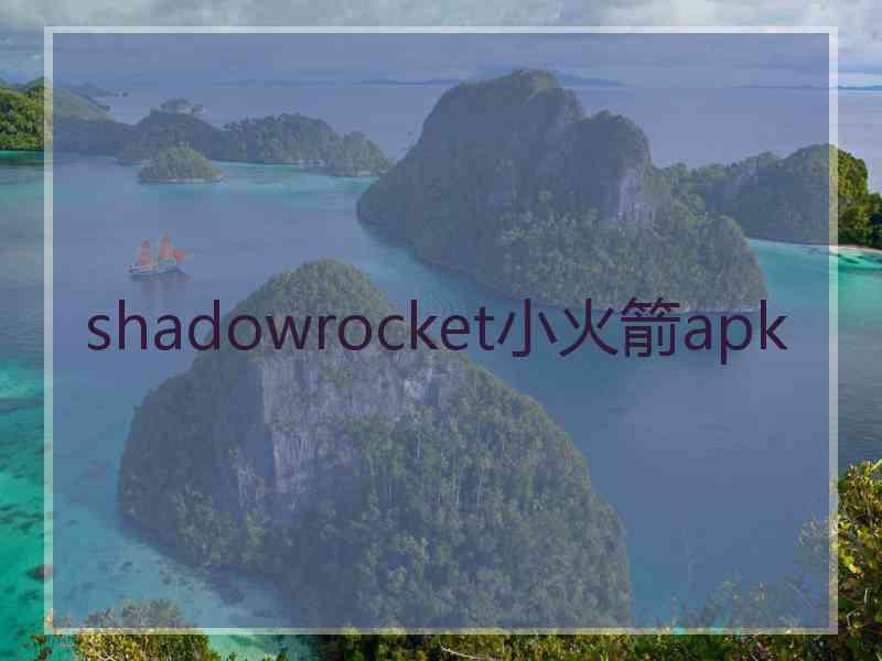 shadowrocket小火箭apk