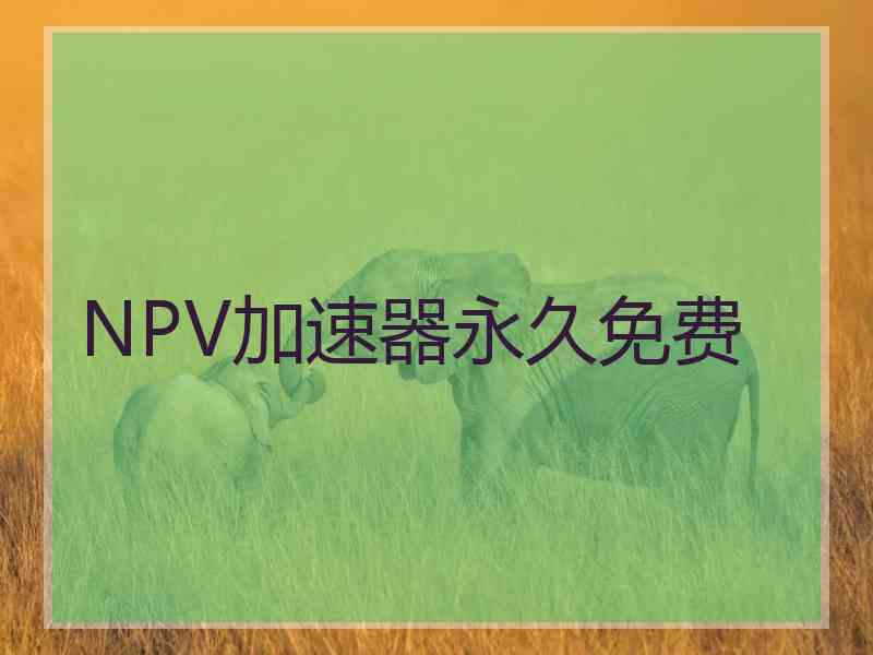 NPV加速器永久免费