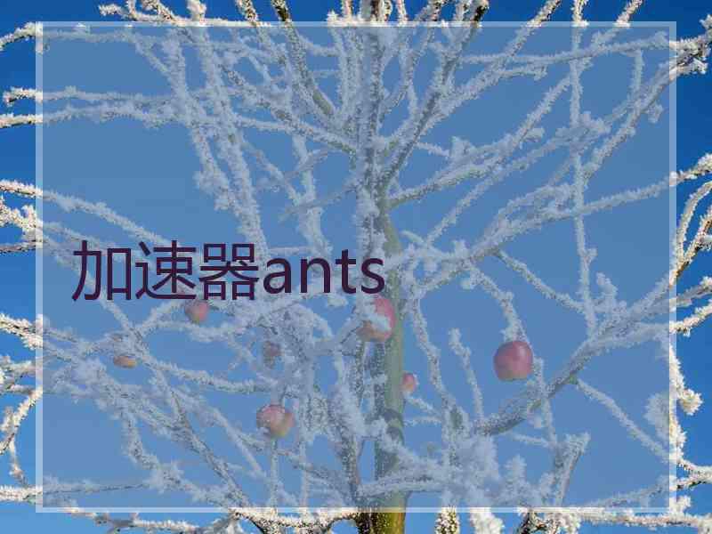 加速器ants