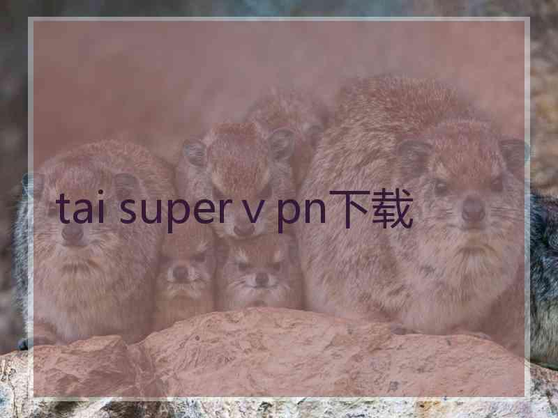 tai superⅴpn下载