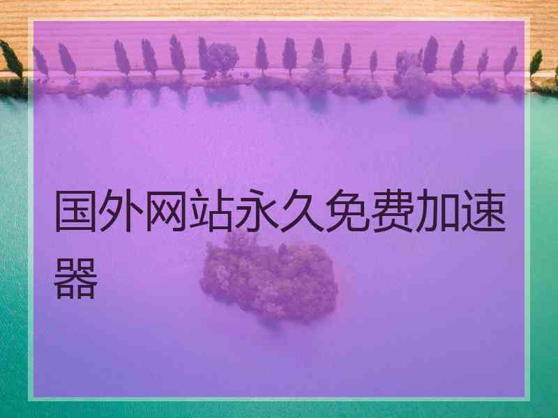 国外网站永久免费加速器