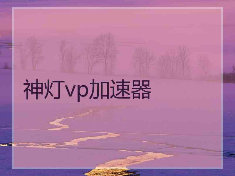 神灯vp加速器