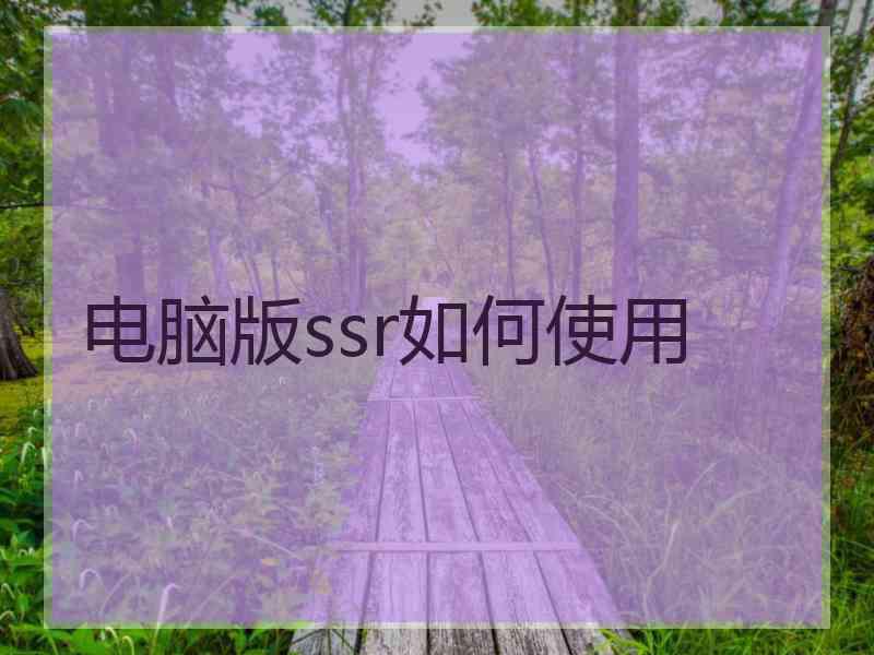 电脑版ssr如何使用