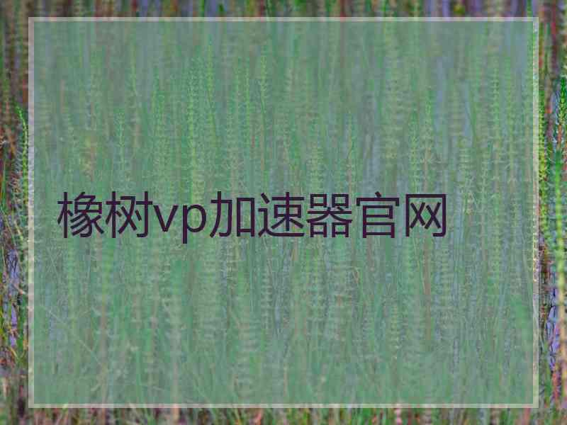 橡树vp加速器官网