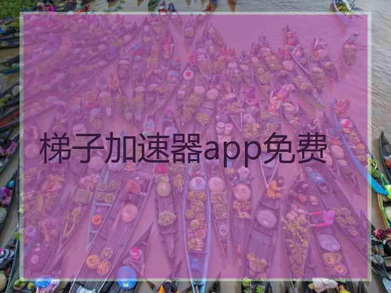 梯子加速器app免费