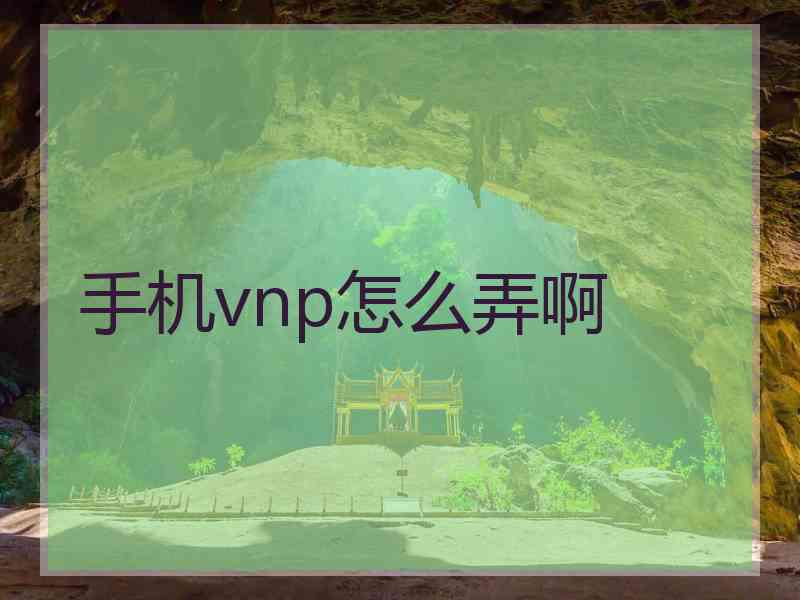 手机vnp怎么弄啊