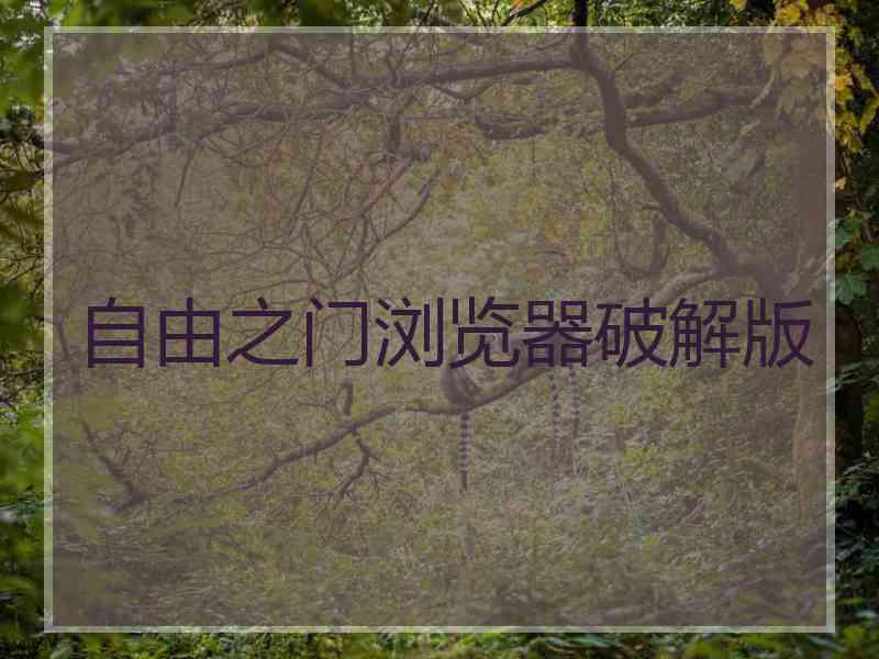 自由之门浏览器破解版