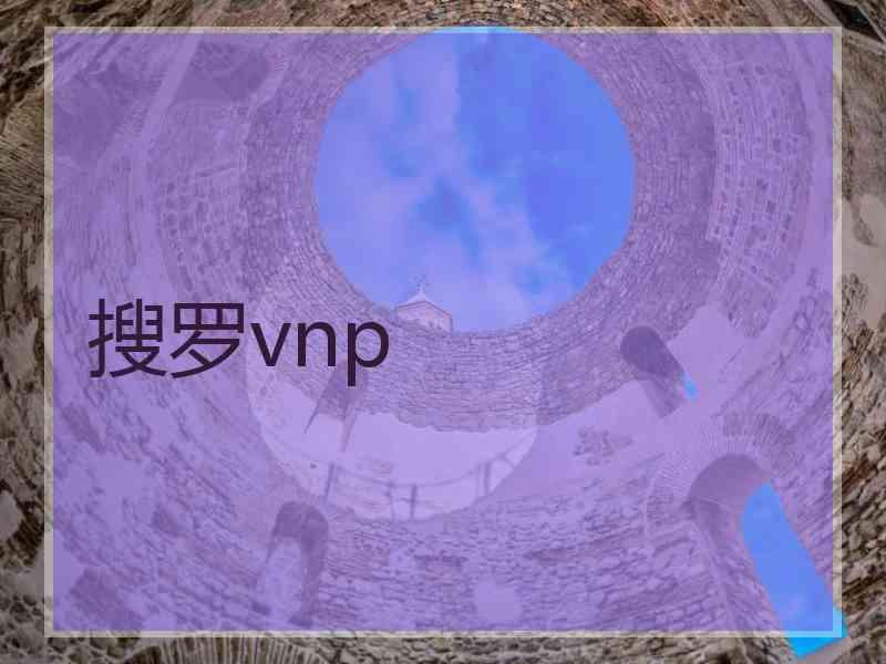 搜罗vnp