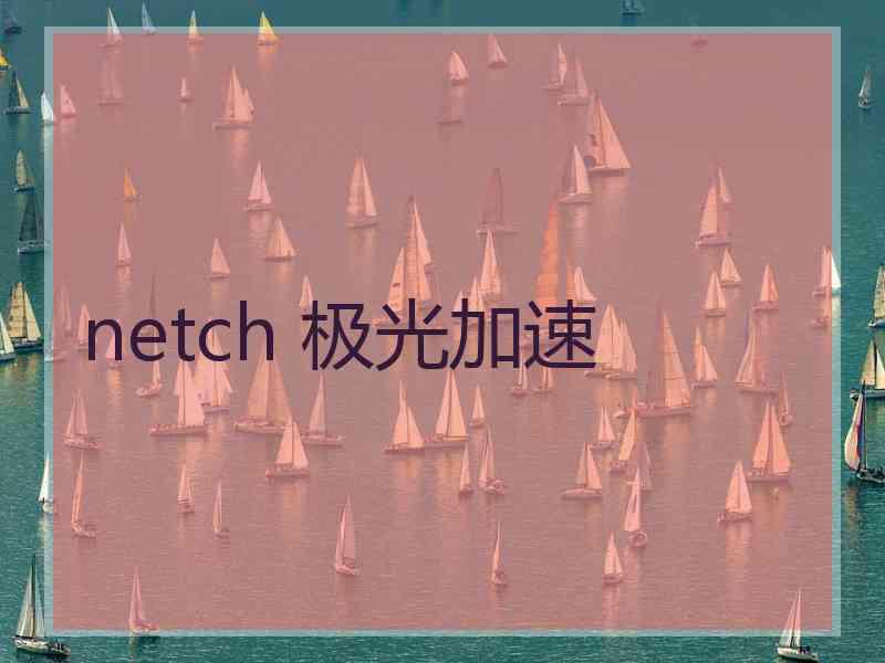 netch 极光加速