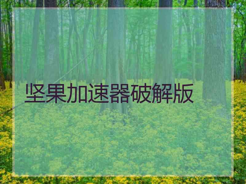 坚果加速器破解版