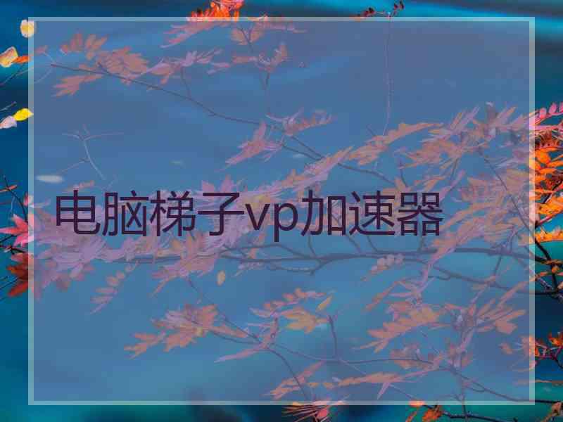 电脑梯子vp加速器