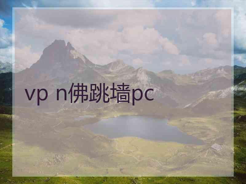 vp n佛跳墙pc