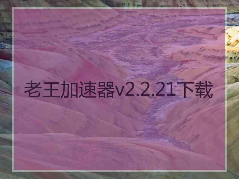 老王加速器v2.2.21下载