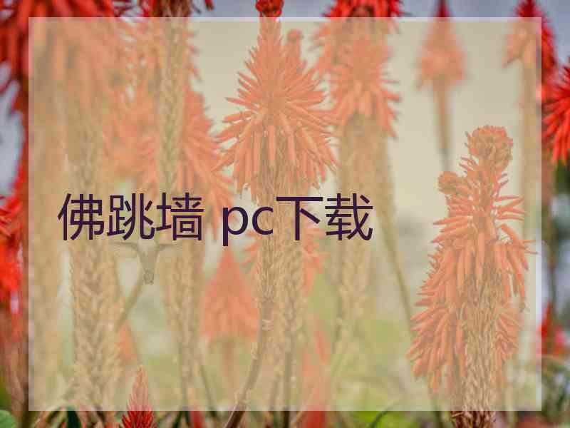 佛跳墙 pc下载