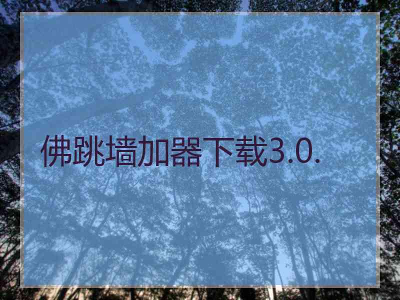 佛跳墙加器下载3.0.