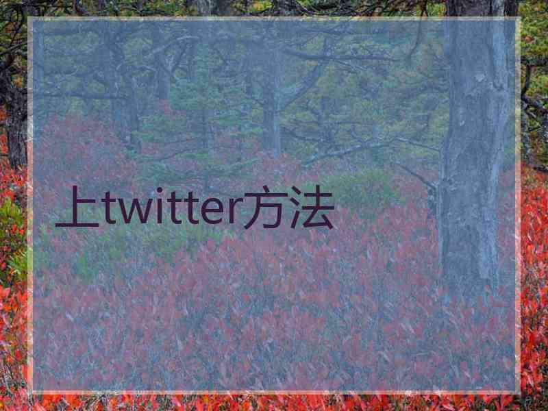 上twitter方法