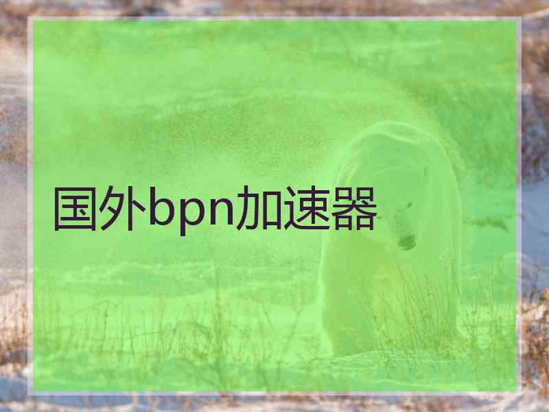 国外bpn加速器