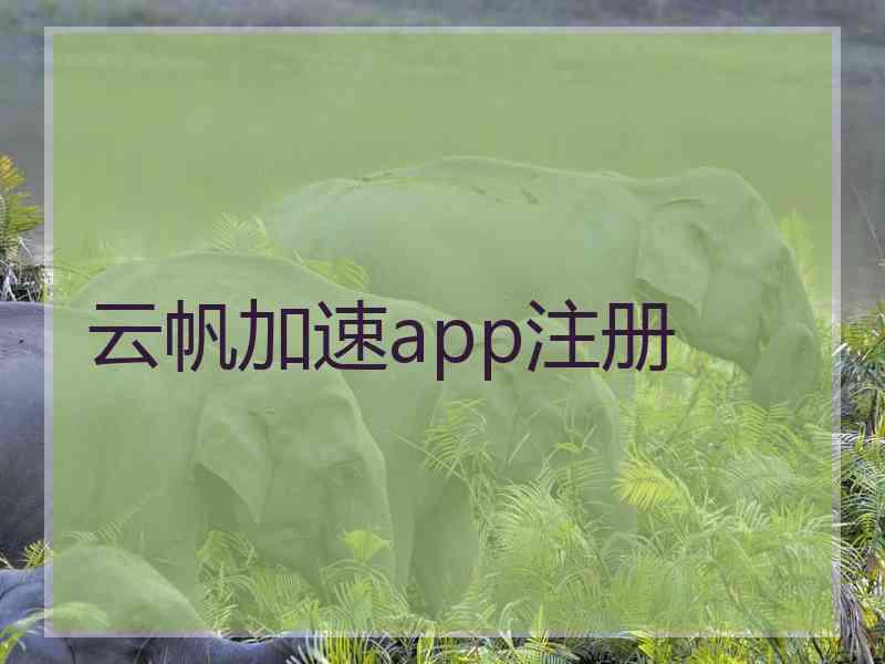 云帆加速app注册