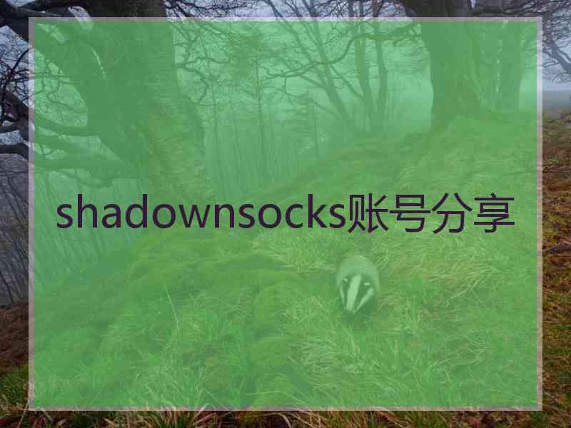 shadownsocks账号分享