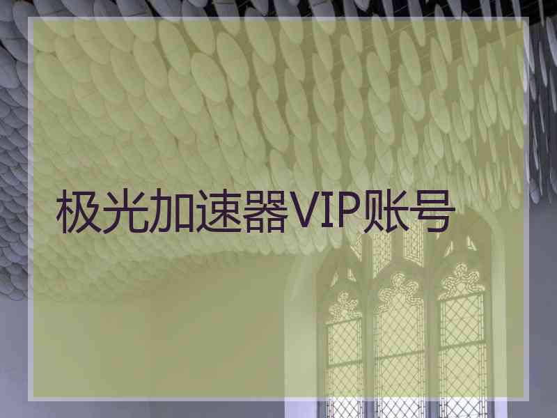 极光加速器VIP账号