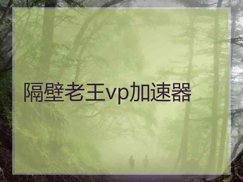 隔壁老王vp加速器