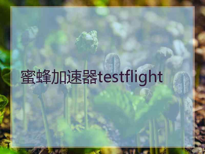 蜜蜂加速器testflight