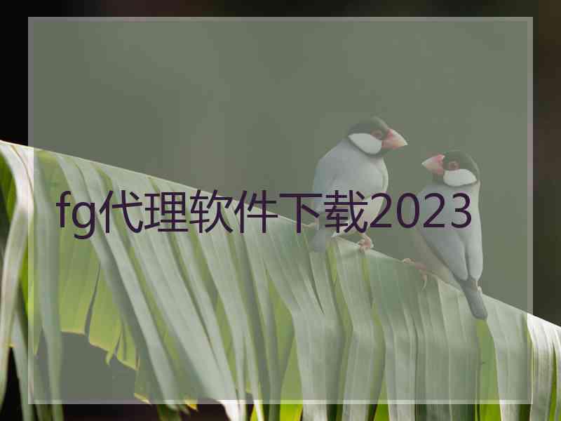 fg代理软件下载2023