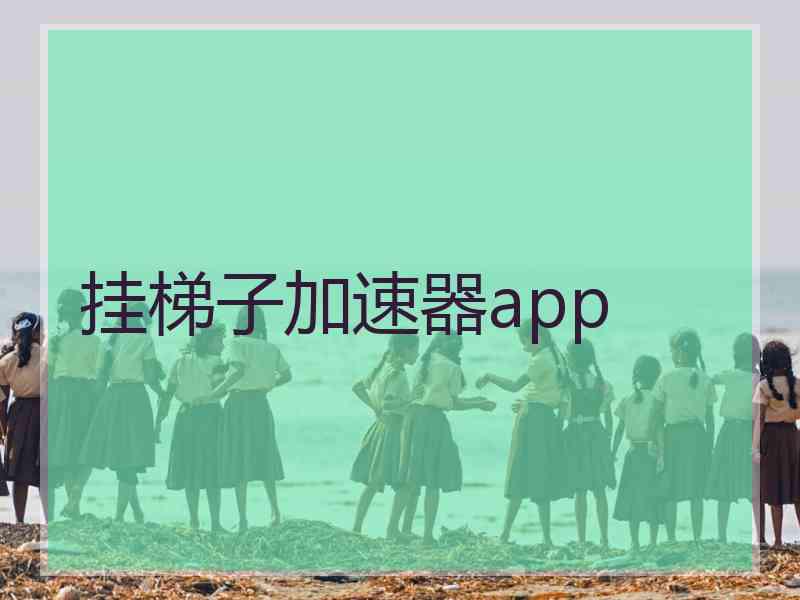 挂梯子加速器app