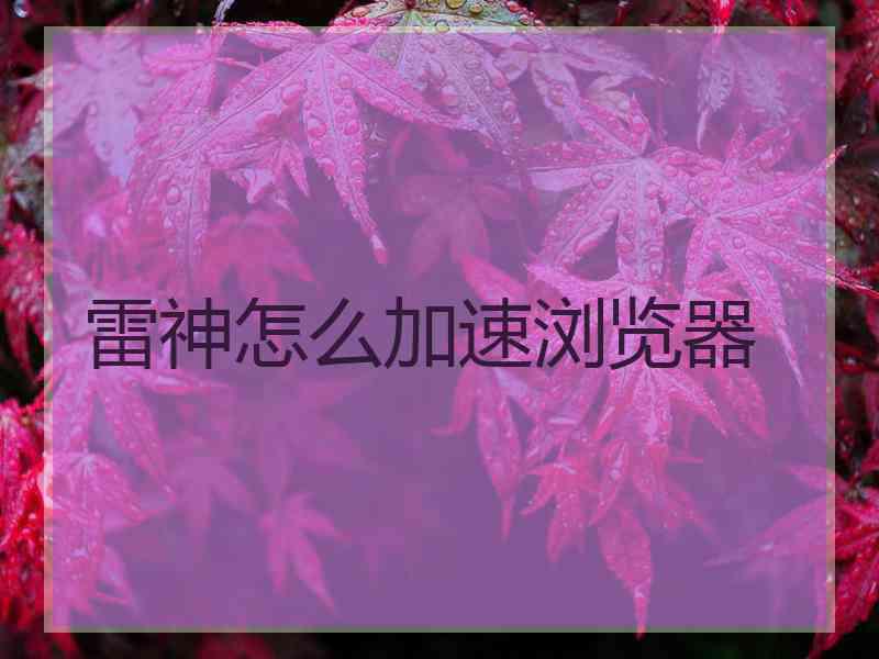 雷神怎么加速浏览器