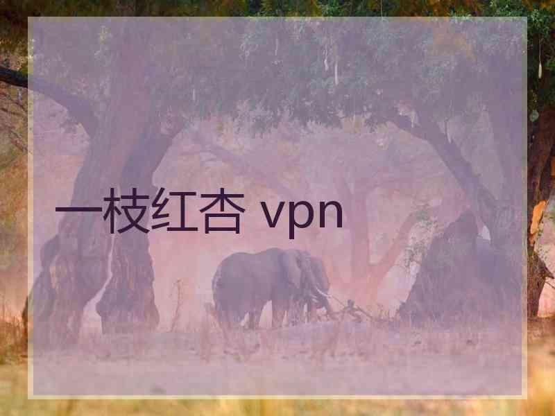 一枝红杏 vpn