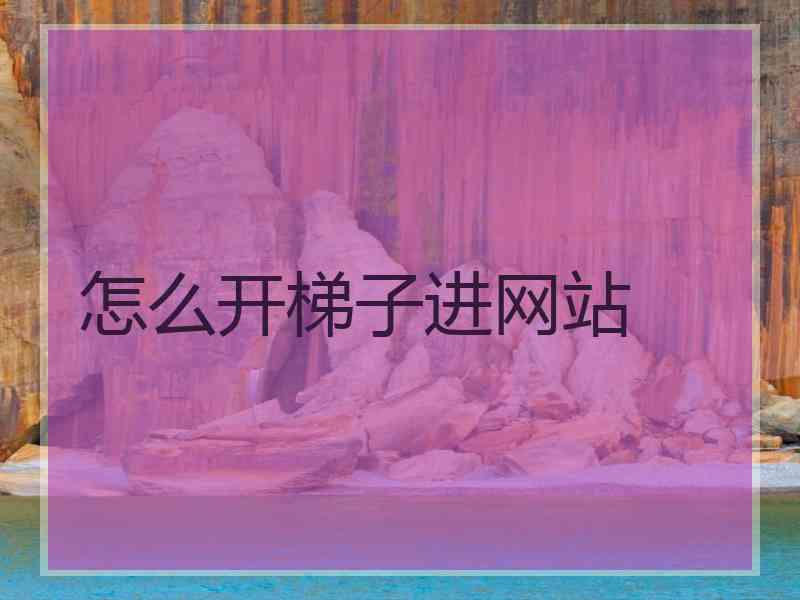 怎么开梯子进网站