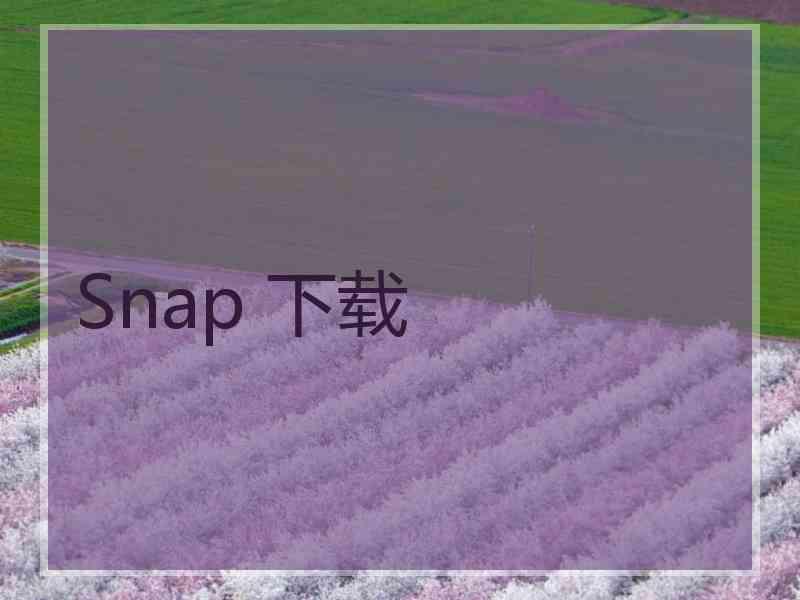 Snap 下载