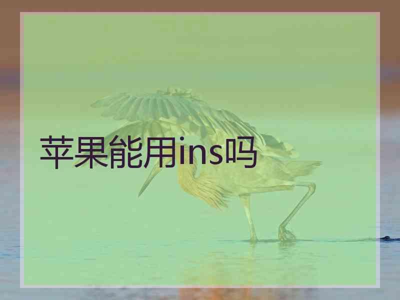 苹果能用ins吗