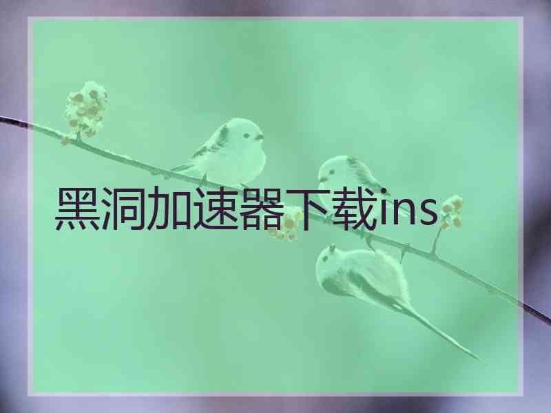 黑洞加速器下载ins