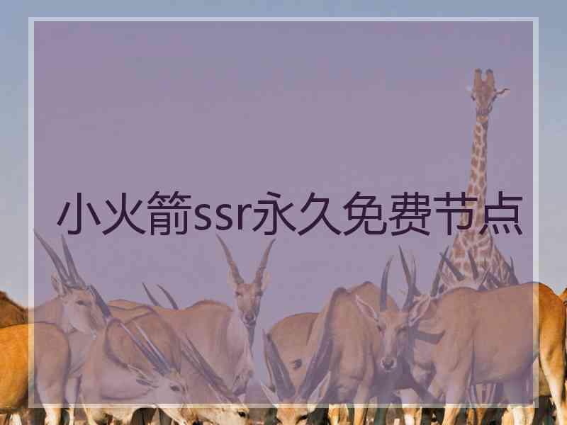 小火箭ssr永久免费节点