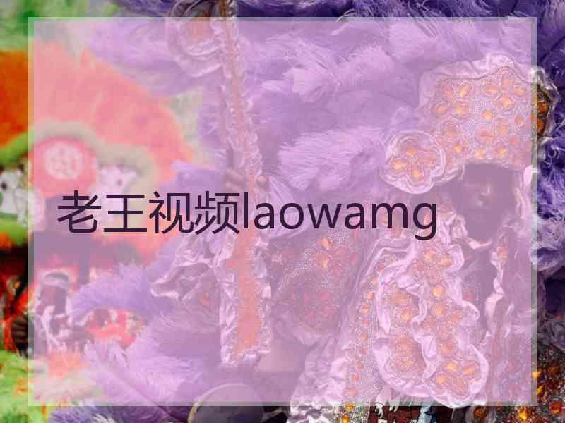 老王视频laowamg